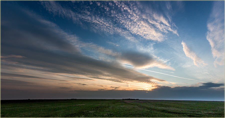 Ovce su isterane uAtar !!!