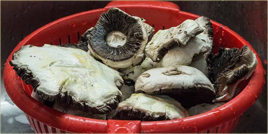 Sad ima pečuraka, više neg proletoske !!!