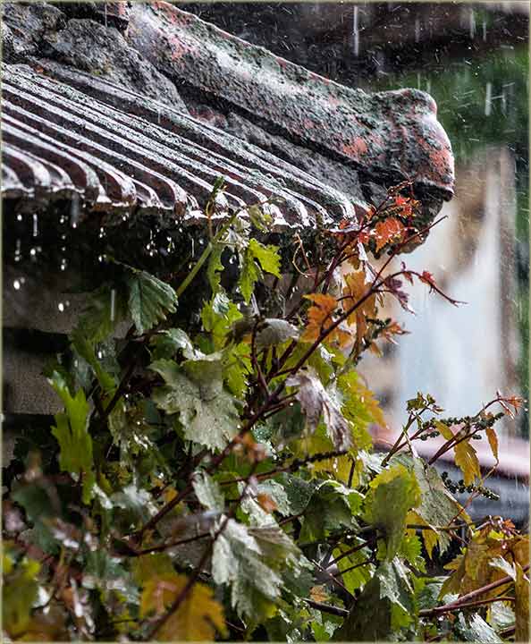 Prvi, prâvi, letnji pljusak sas grmljavinom !!!