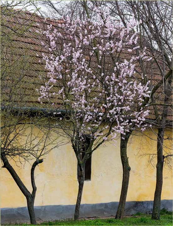 Proleće krećeee !!!