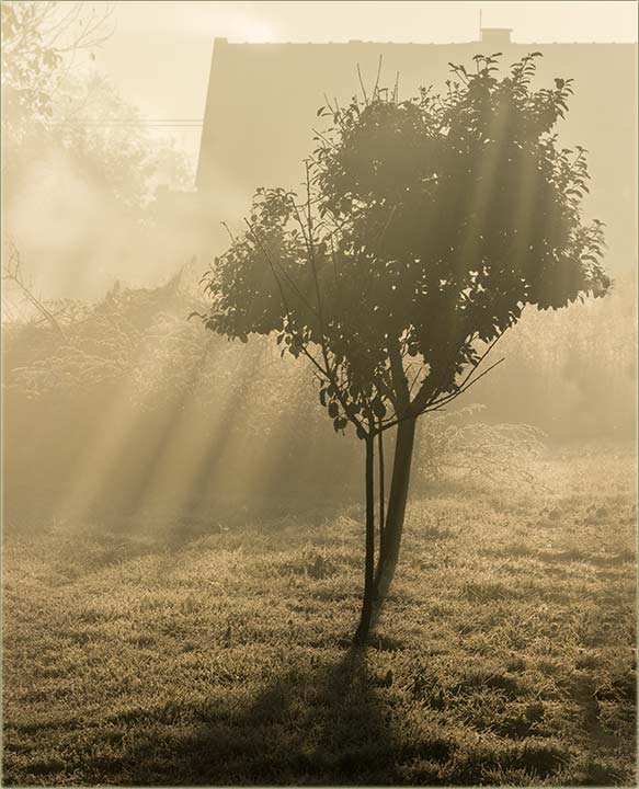 Prvi mraz, ove jeseni...