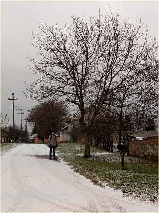 Prvi sneg zime 2016/2017-te...