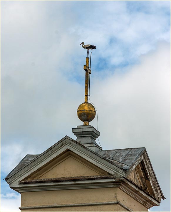 Kibicer i njegovo razmišljanje...