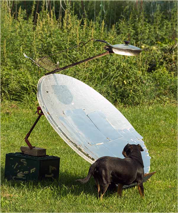 Kobajsce friške, pečene naCunce !!!