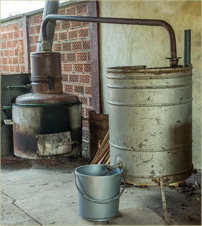 Dolazi, da priPičemo rakiju !!!