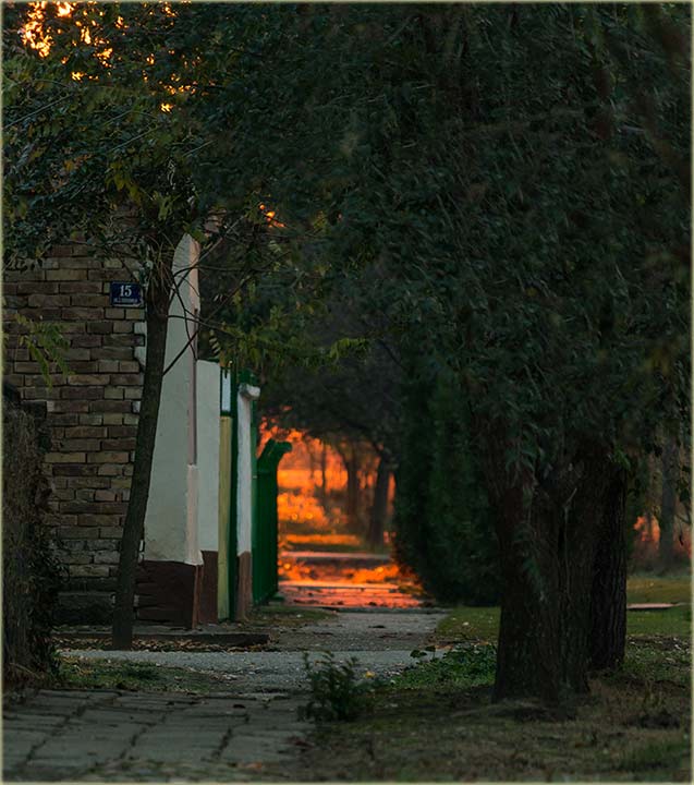 Dok stigne do glavnog sokaka - umori se !!!