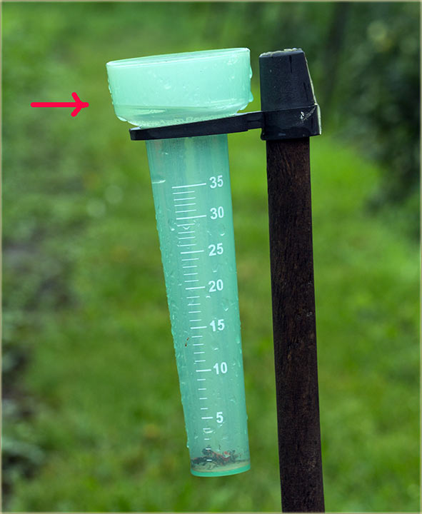 Pala nam je zdravo, jâko, velika kiša !!!