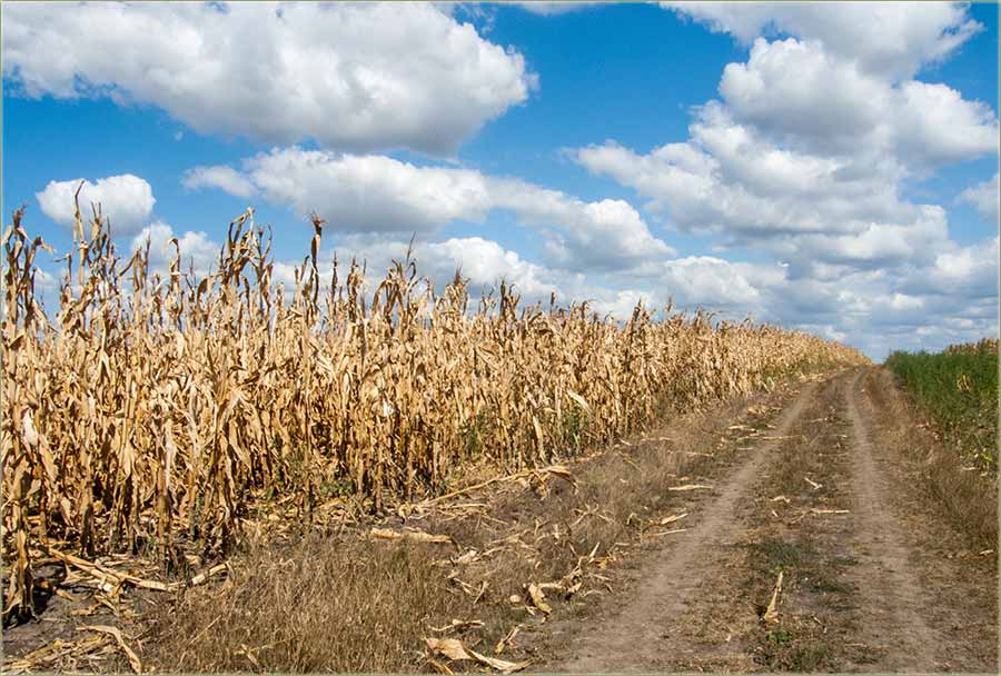 A kako bi tebi bilo, da ja tebe uputim...