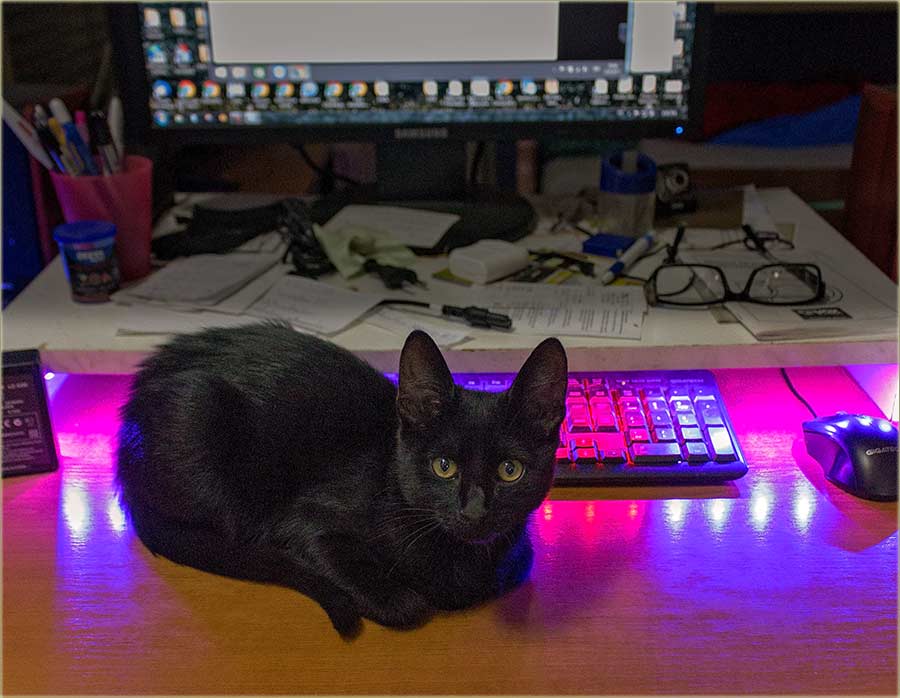 Crni Gruja je smislijo ovu NM Sliku dana !!!