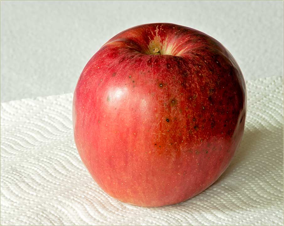 Crvena, velika jabuka...