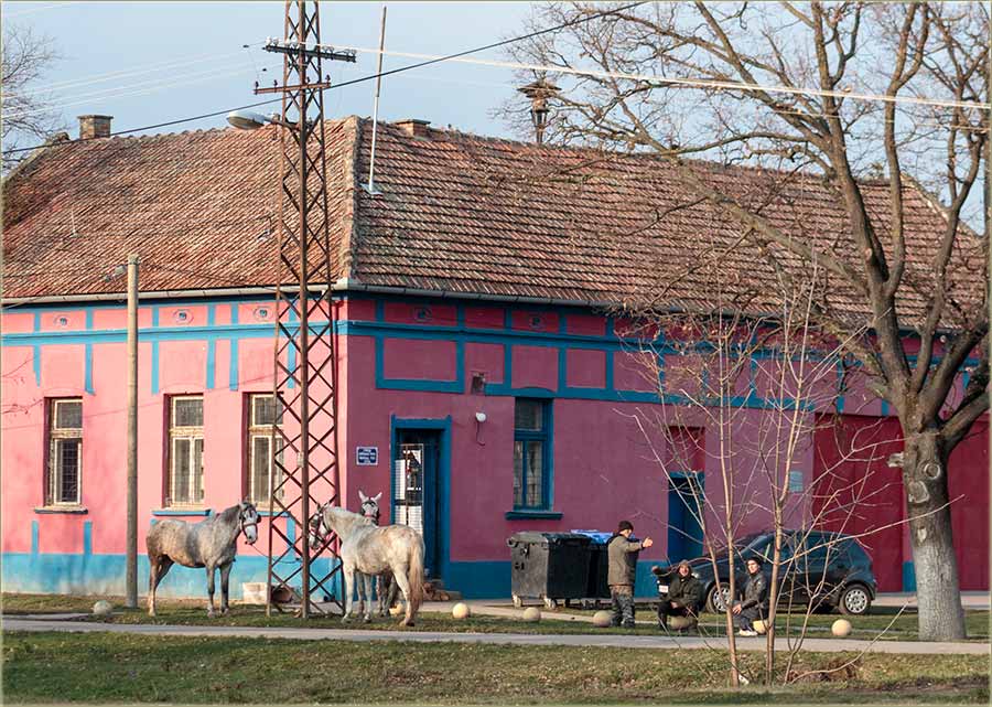 Slično, kav nekad, isprid Baba Lîzine kafane...