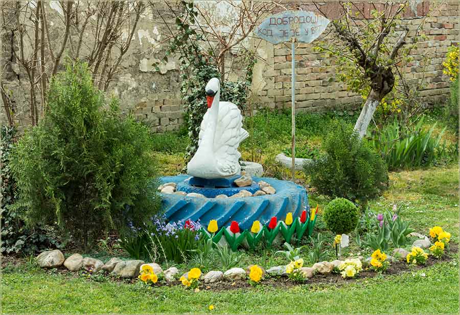 Kod Jeje u vrt 2017-te I ...