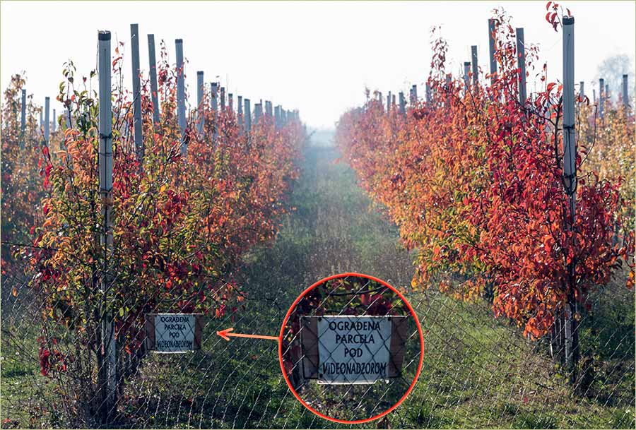 Nema više lavabô !!!