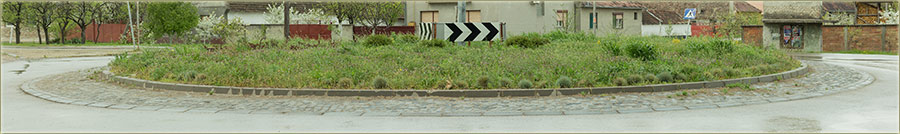 Dal ste skoro prošli kružnim tokom savobraćaja ?