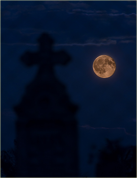 Znaš kako bi najviše volo da umrem ?