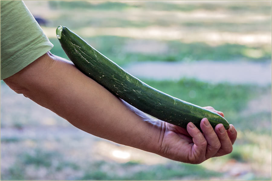 Gledajte koliki mi je..., krastavac !!!