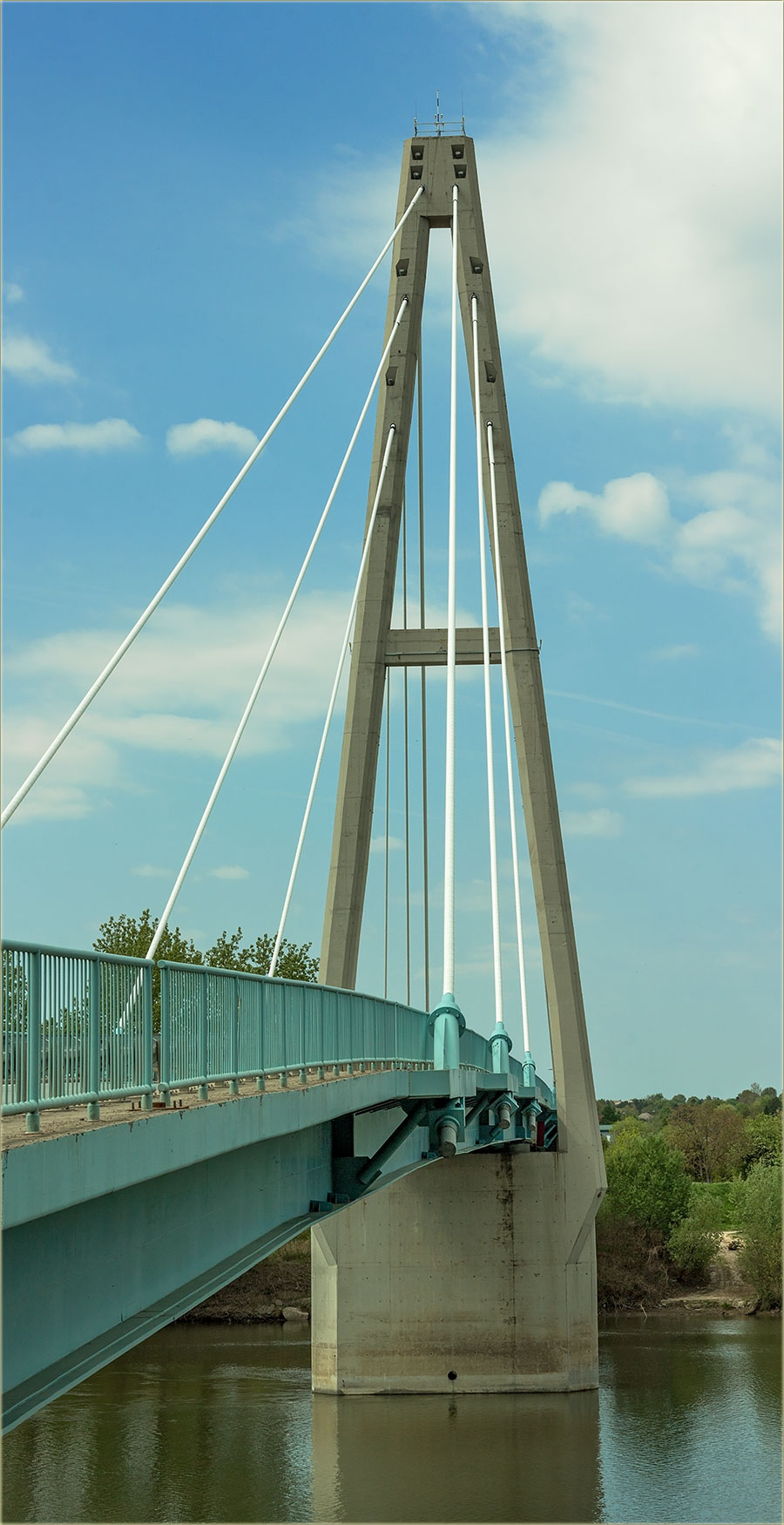 Poseta mosta prikoTise, kod Ade...