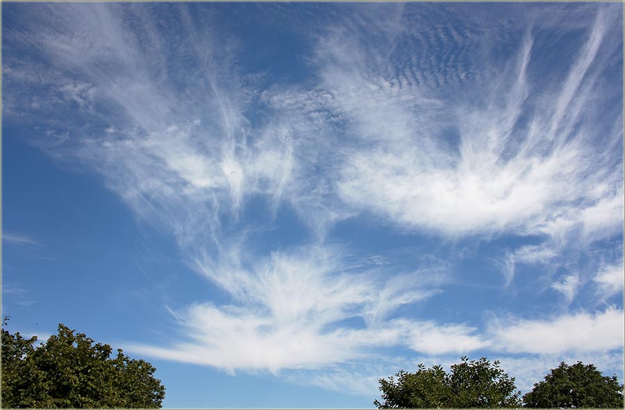 Parče neba, oblaka i lišća..., a izBeodre !!!
