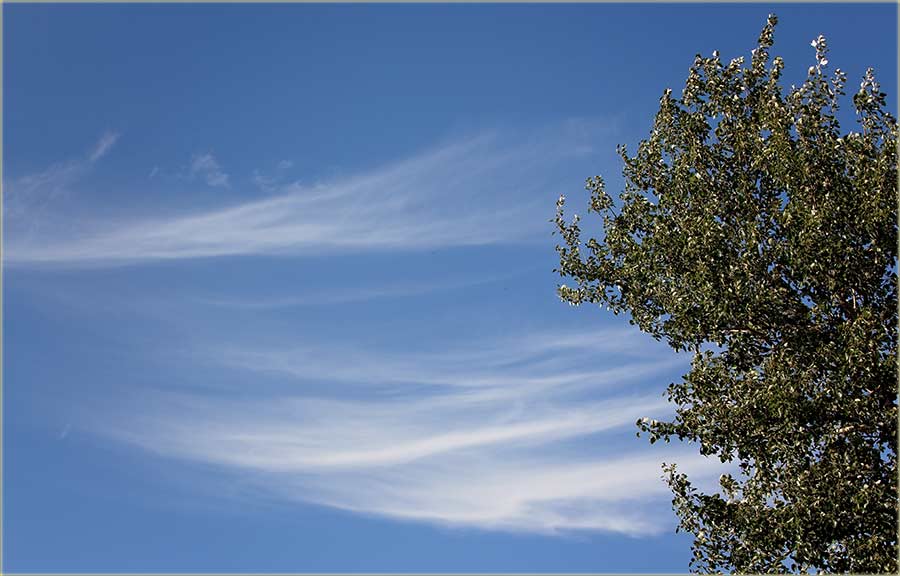 Parče neba, oblaka i lišća..., a izKarlova !!!