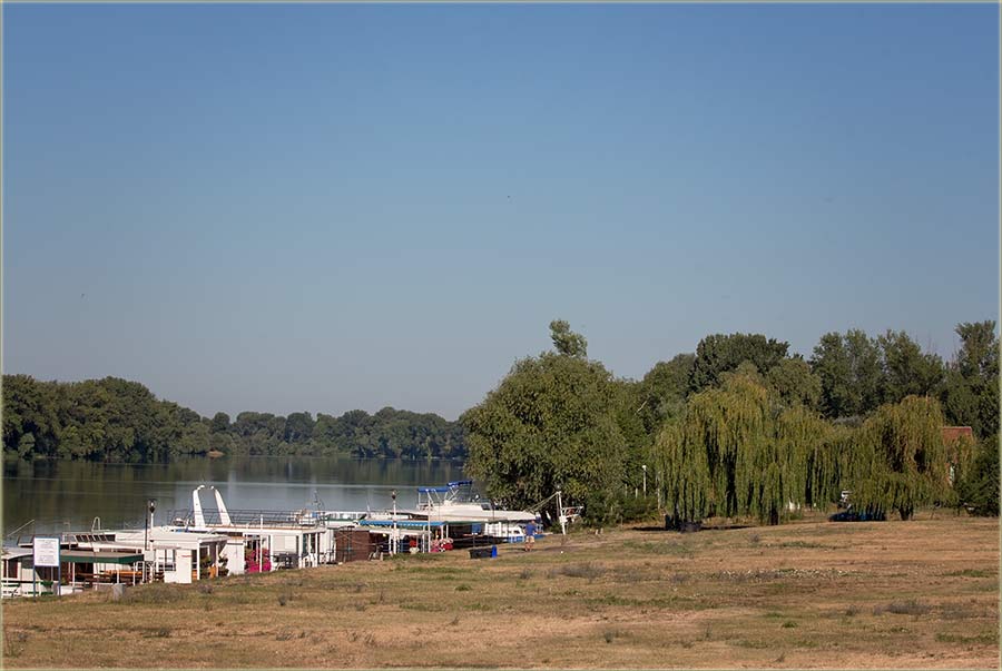 Sve više oću da...