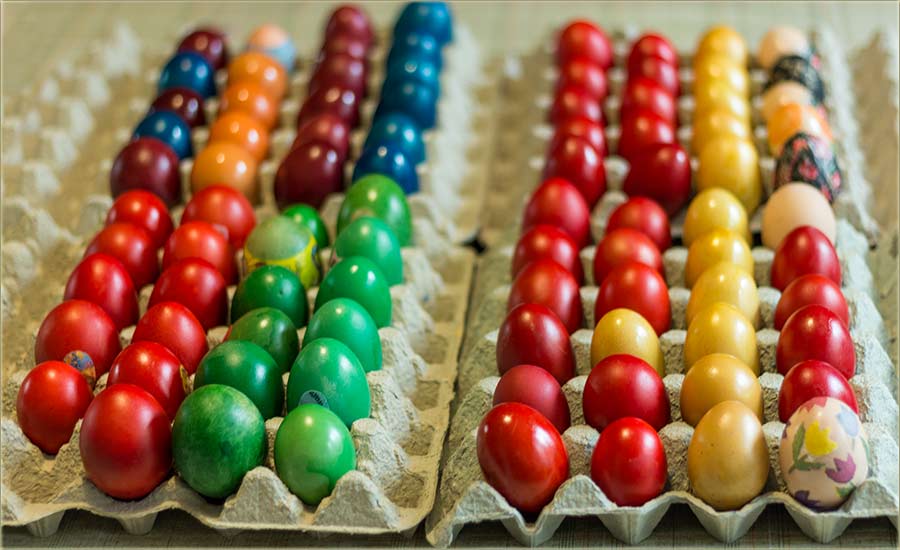 Jaja su oFarbata ( foto - Hristina Belić ) !!!