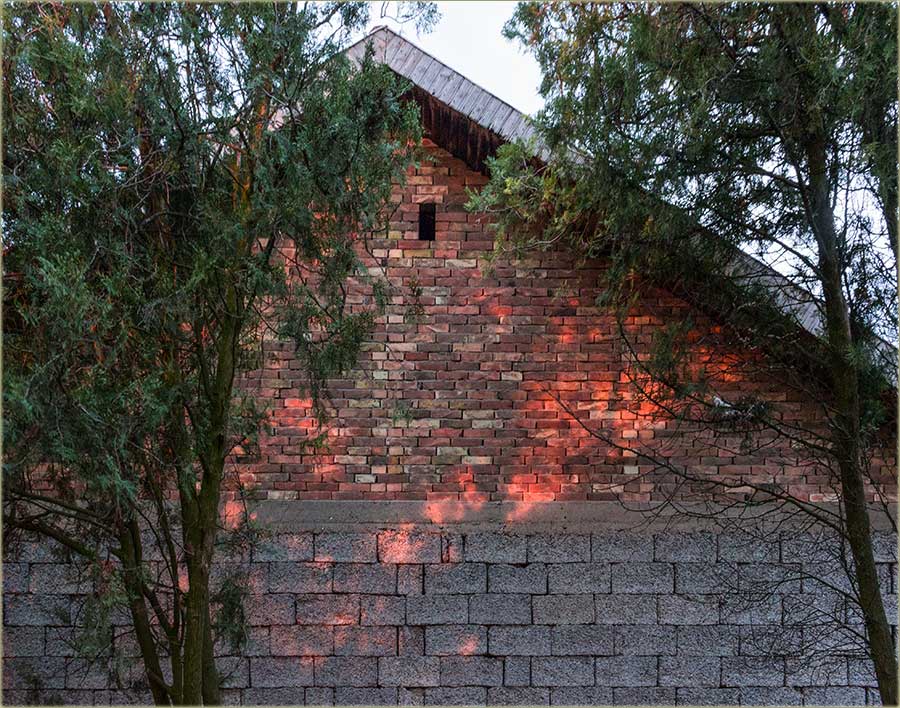 Svako jutro, kad se probudim...