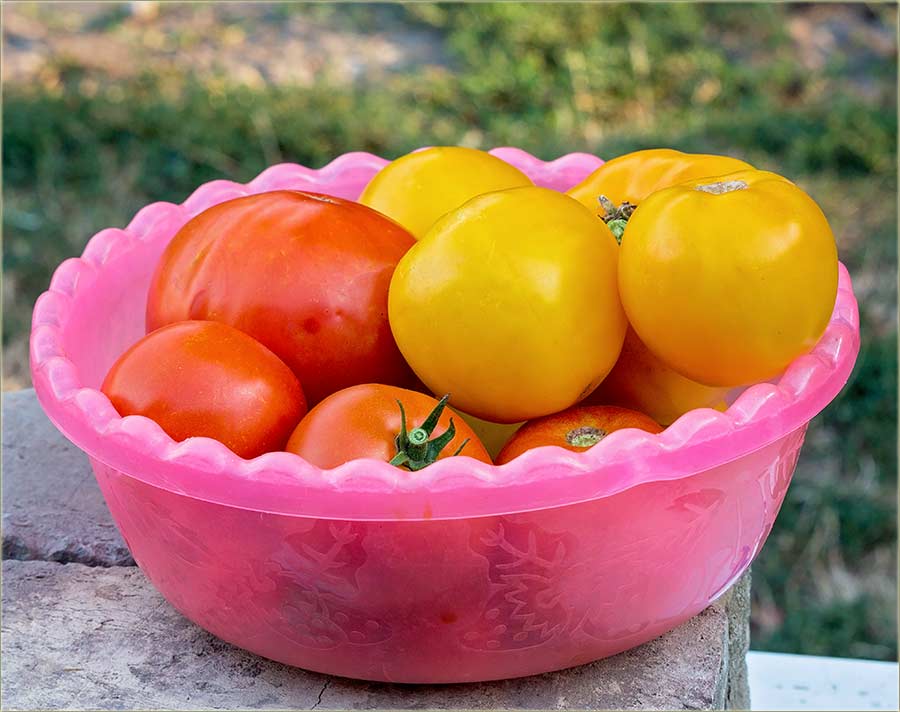 Samo da ga neZabranidu !!!