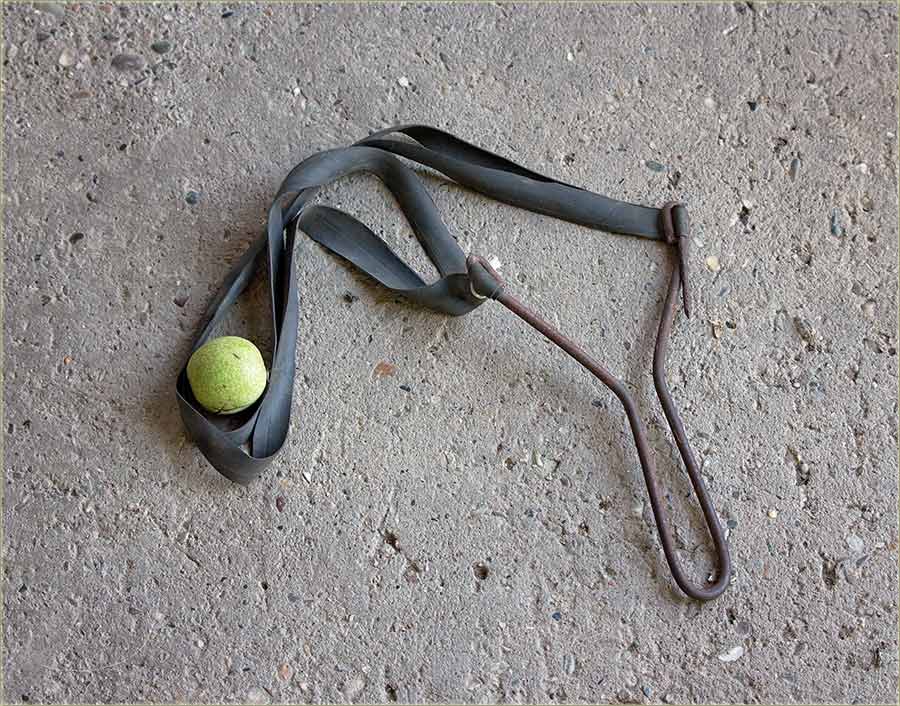 Borba protivu čvoraka !!!