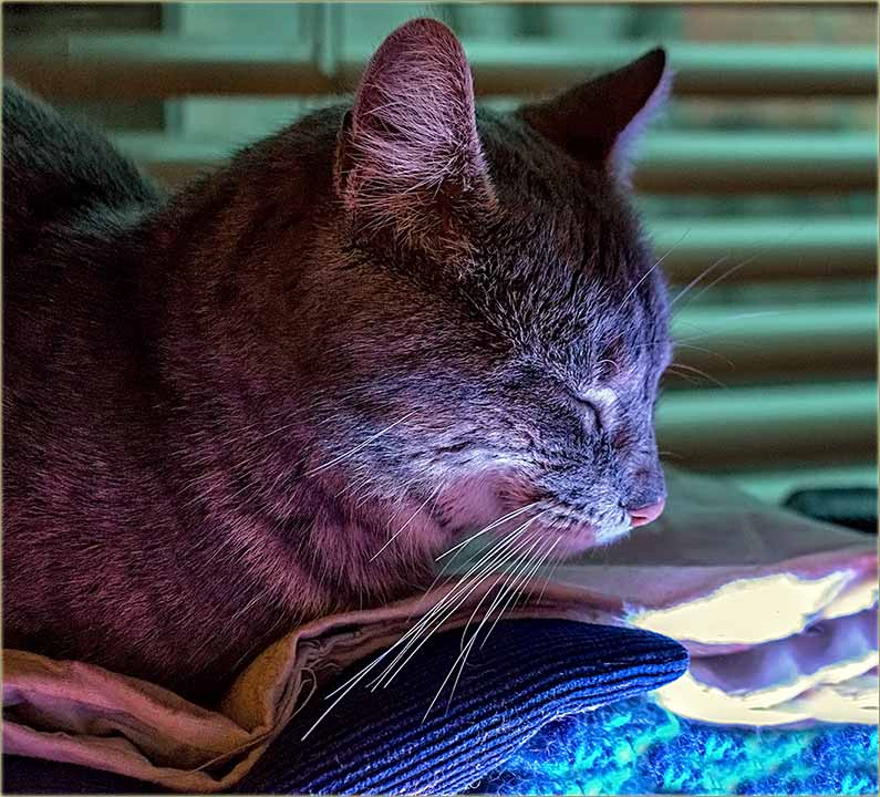 Bogu fala, prošo je februvar !!!