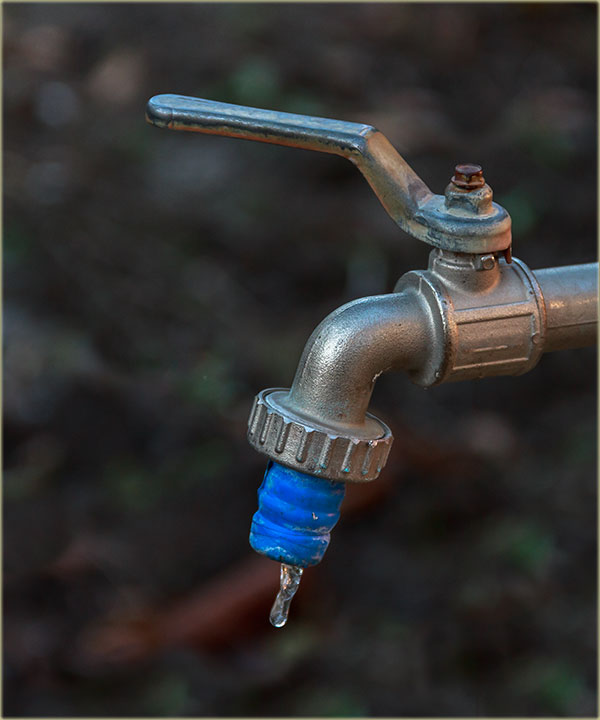 Najnovija NM kletva - daBôgDa ti...