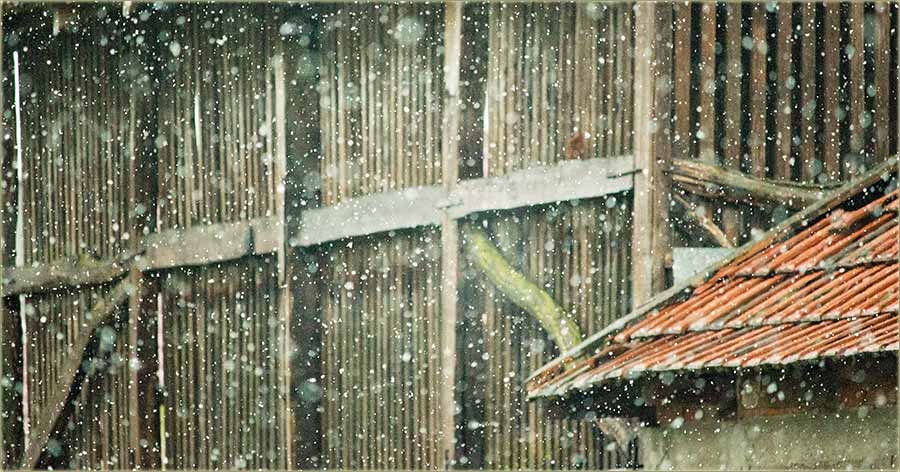 Jal će to Prvi maj... il Božić ?!?