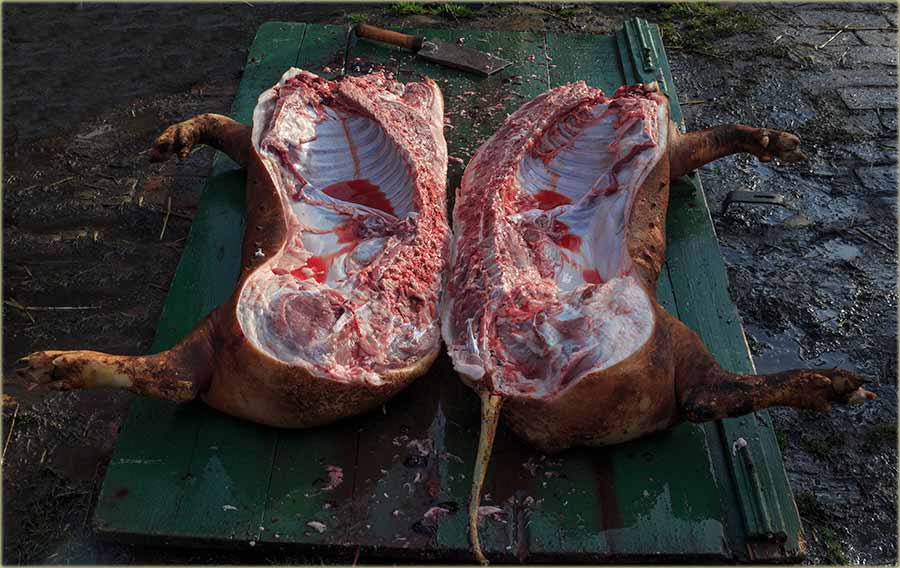 E ljudi..., uOzbiljte ste !!!