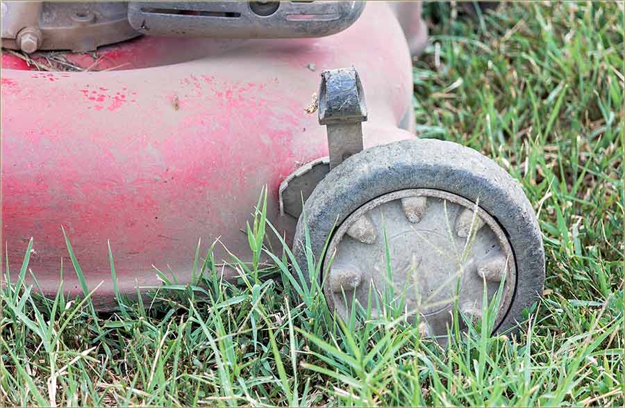 Pošto šišaš travu ?