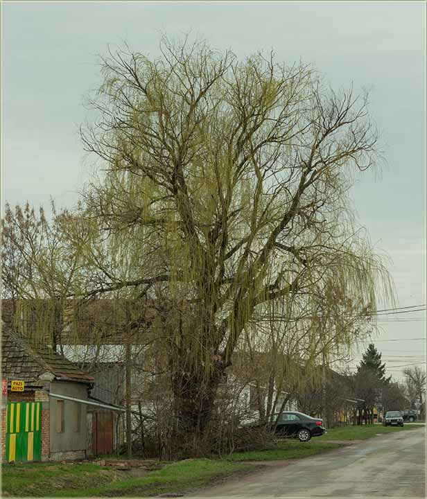 I proleće nam je stiglo !!!