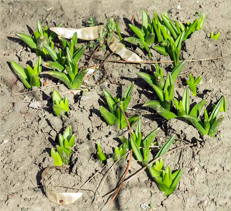 Proleće krećeee !!!