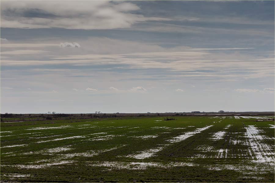 Stanje u miloševački atar !!!