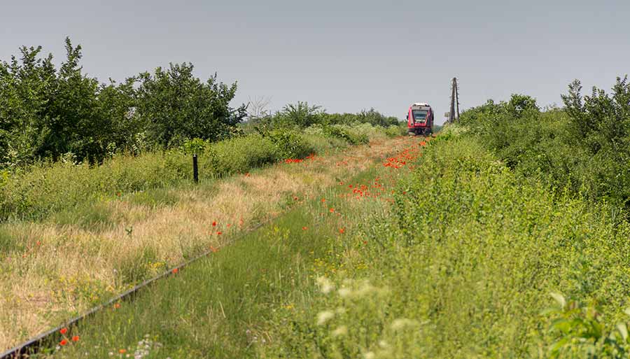 Brze pruge, naprdne države na Srbiju !!!