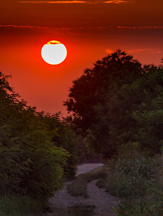 Upokojila se moja tašta Danilka...