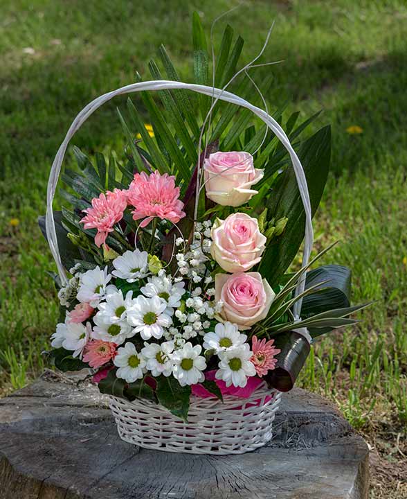 Iz NM cvećare - Têtin kutak...