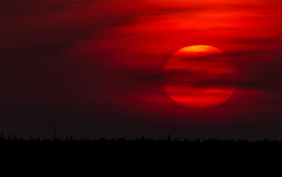 Prvi, ovogodišnjo, letnji izlazak Cunca...