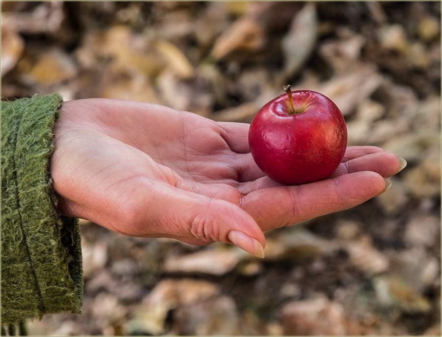 Svi Sveti, Zadušnice...