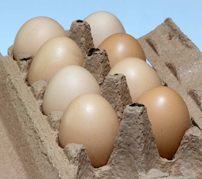 I to oće da nas za*ebe..., kad da farbamo jaja ?!?