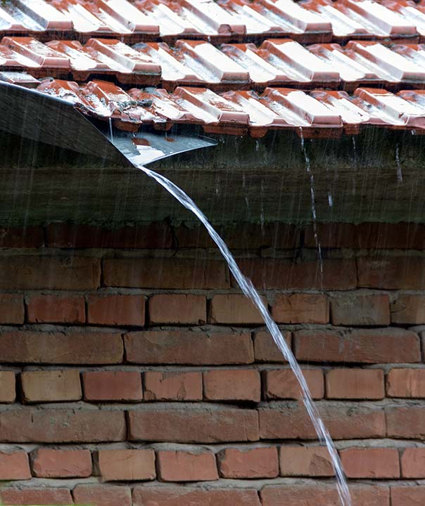 Znaš, kad najVolijem da pada kiša ?