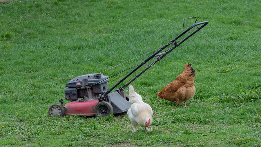 Počela je puna sizona košenja trave !!!