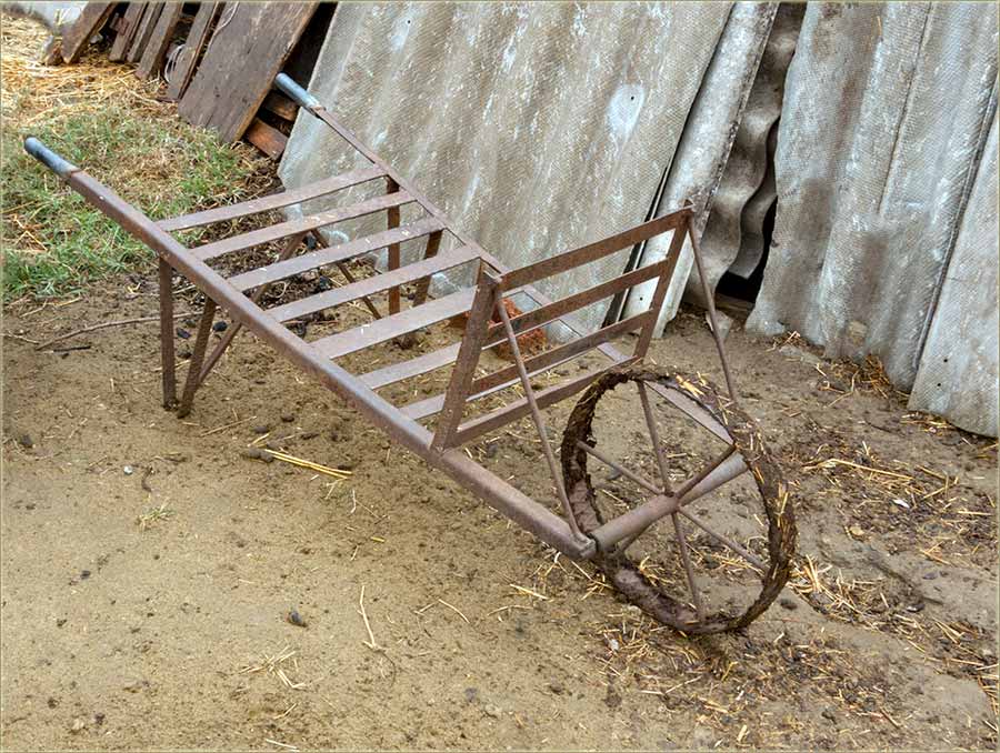 Stâra krilatica !!!