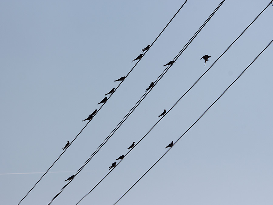 Laste odlaste..., već jedared...