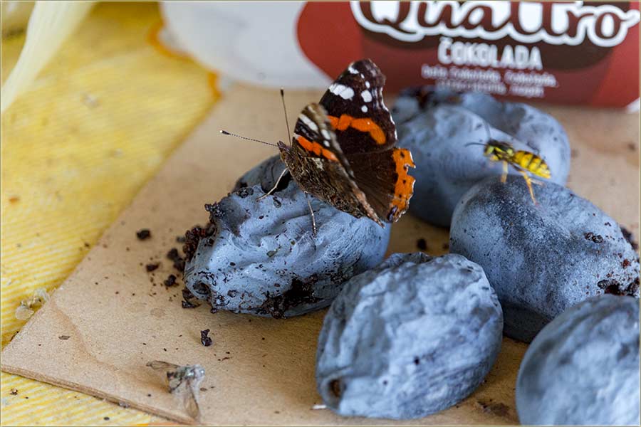 Istim poslom - demantij na obTužbe !!!