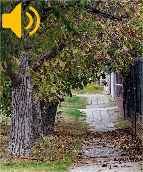 Lišće nikako da odPadne !!!