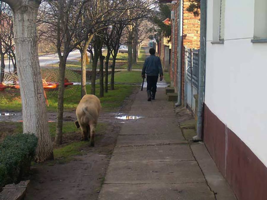 Svi se smekadu i poKazivadu mi prst od plca !!!