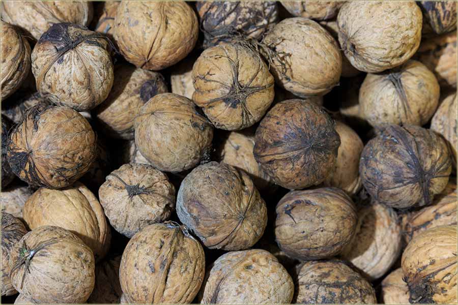 Spremte oraja za korinđaše !!!